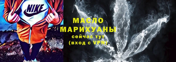 гидра Горняк