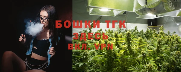 меф Вяземский