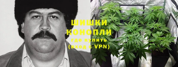 меф Вяземский