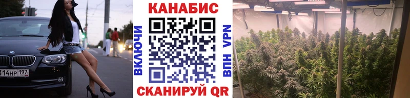 Купить где  Зея  Шишки марихуана семена 